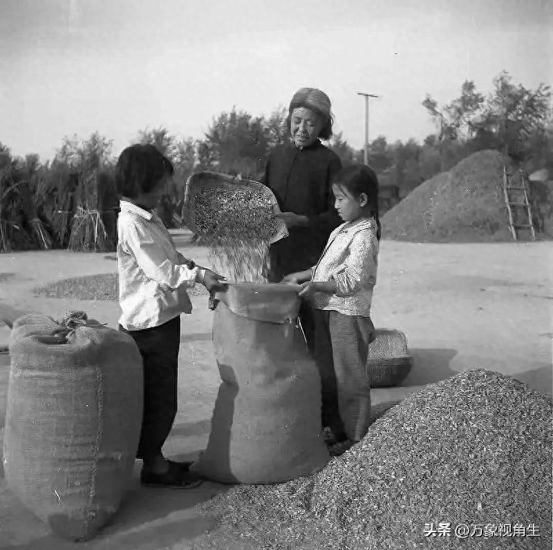 期货数字货币什么意思_数字货币期货_期货跟数字货币的差别在哪里